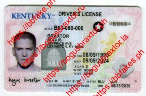 Kentucky Fake ID