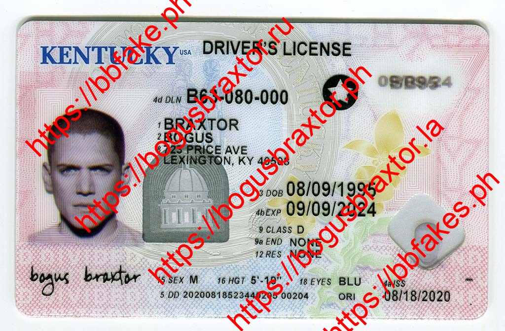 Kentucky Fake ID