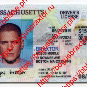 Massachusetts Fake ID