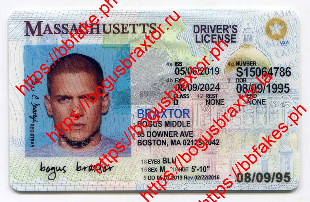 Massachusetts Fake ID