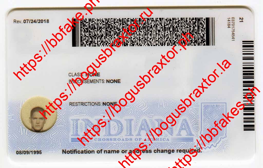 Indiana Fake ID - Image 2