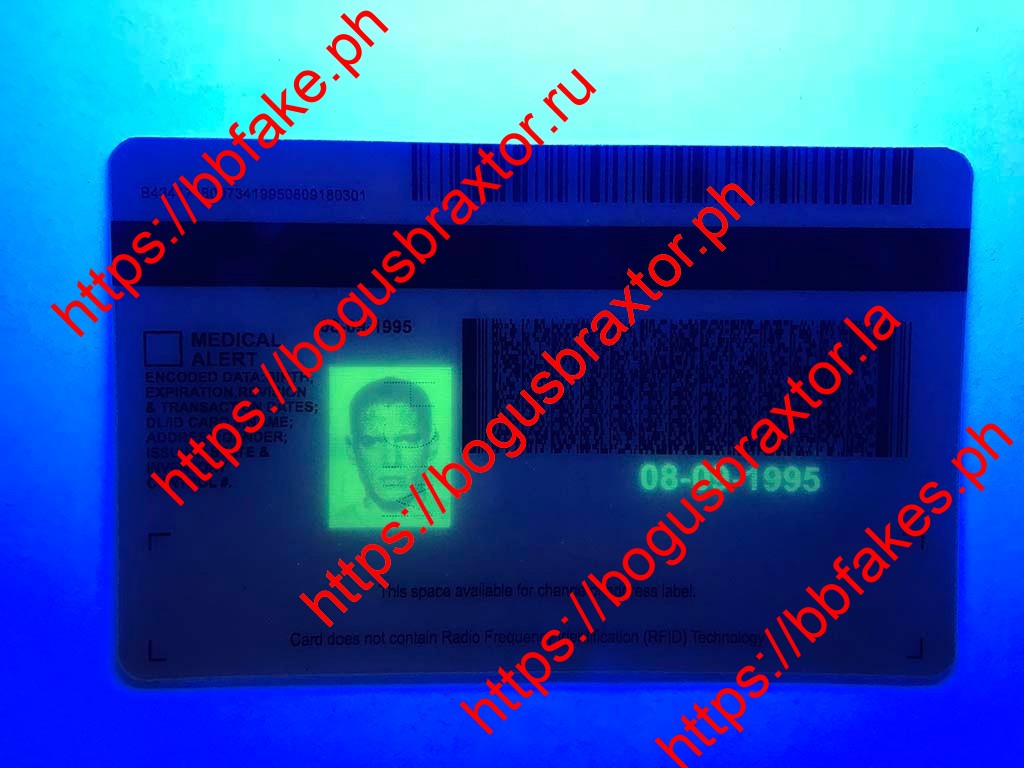 Michigan Fake ID - Image 5