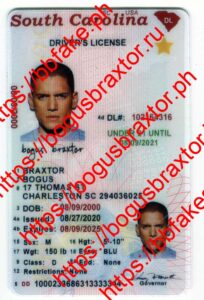 South Carolina Vertical Fake ID