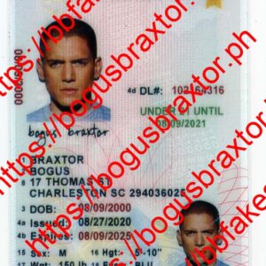 South Carolina Vertical Fake ID