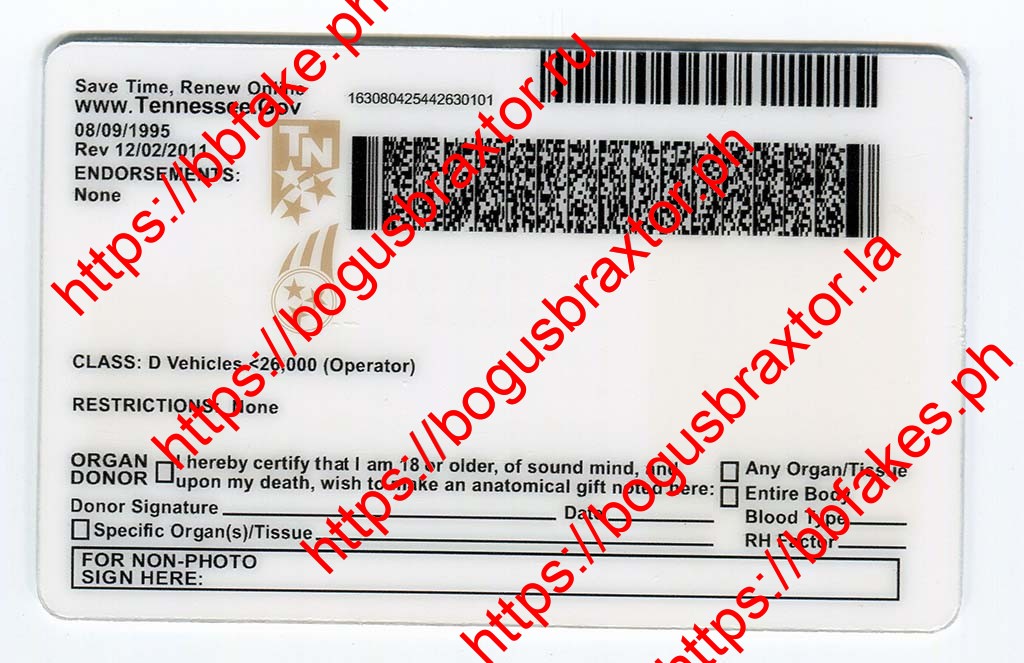 Tennessee Fake ID - Image 2