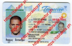 Tennessee Fake ID