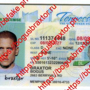 Tennessee Fake ID