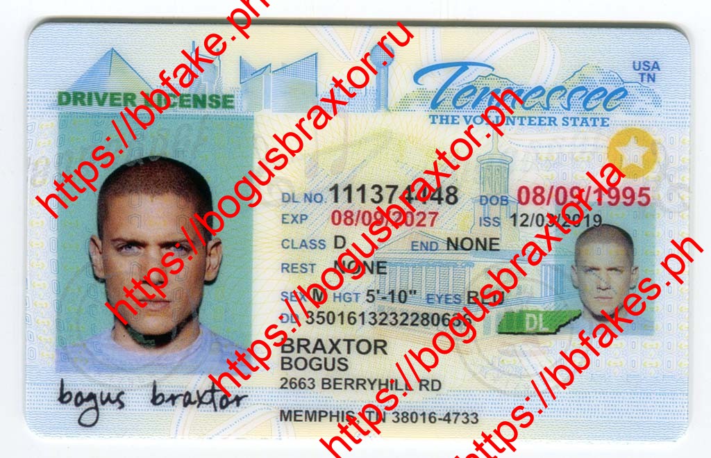 Tennessee Fake ID