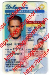 Delaware Vertical Fake ID