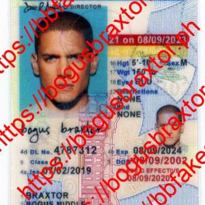 Delaware Vertical Fake ID