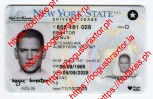 New York Fake IDs