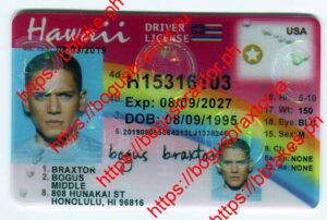 Hawaii Fake ID