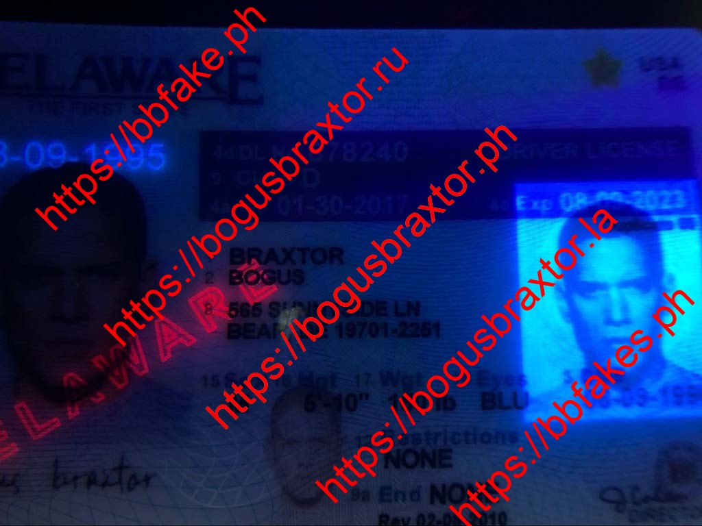 Delaware Fake IDs - Image 2