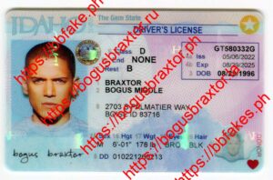 Idaho Fake ID