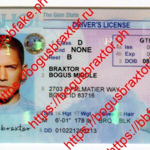 Idaho Fake ID