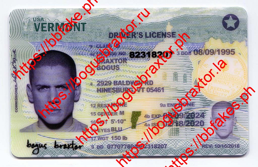 Vermont Fake ID