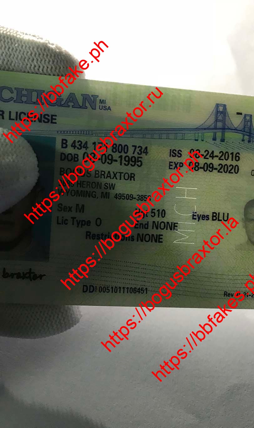 Michigan Fake ID - Image 3