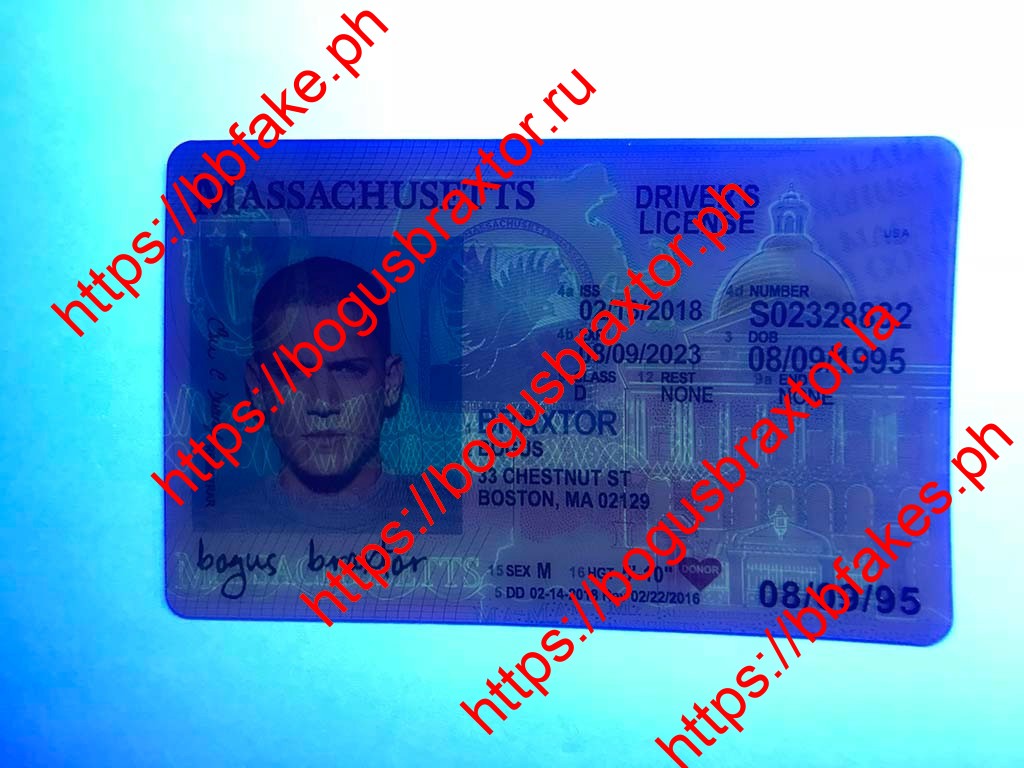 Massachusetts Fake ID - Image 4