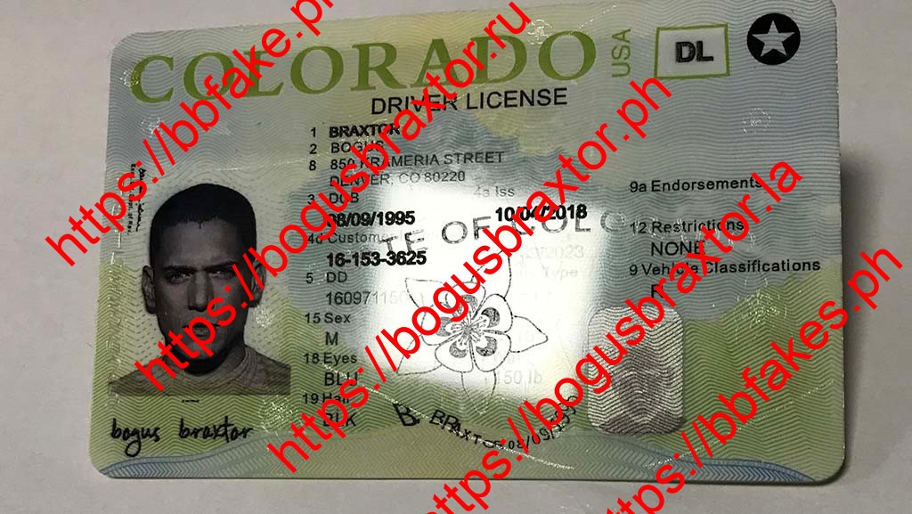 Colorado Fake IDs - Image 4