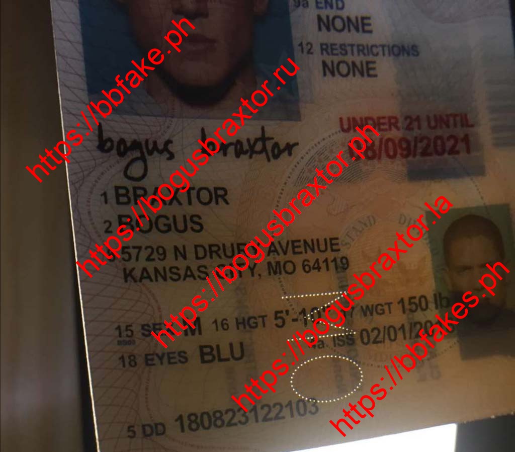 Missouri Vertical Fake ID - Image 3