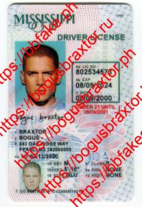 Mississippi Vertical Fake ID