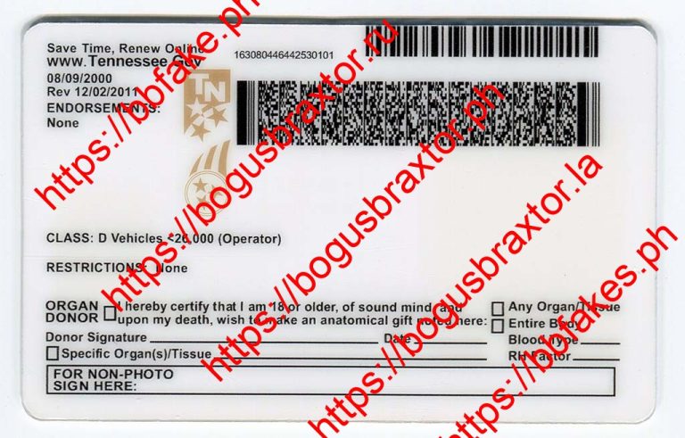 Tennessee Fake ID - Image 2