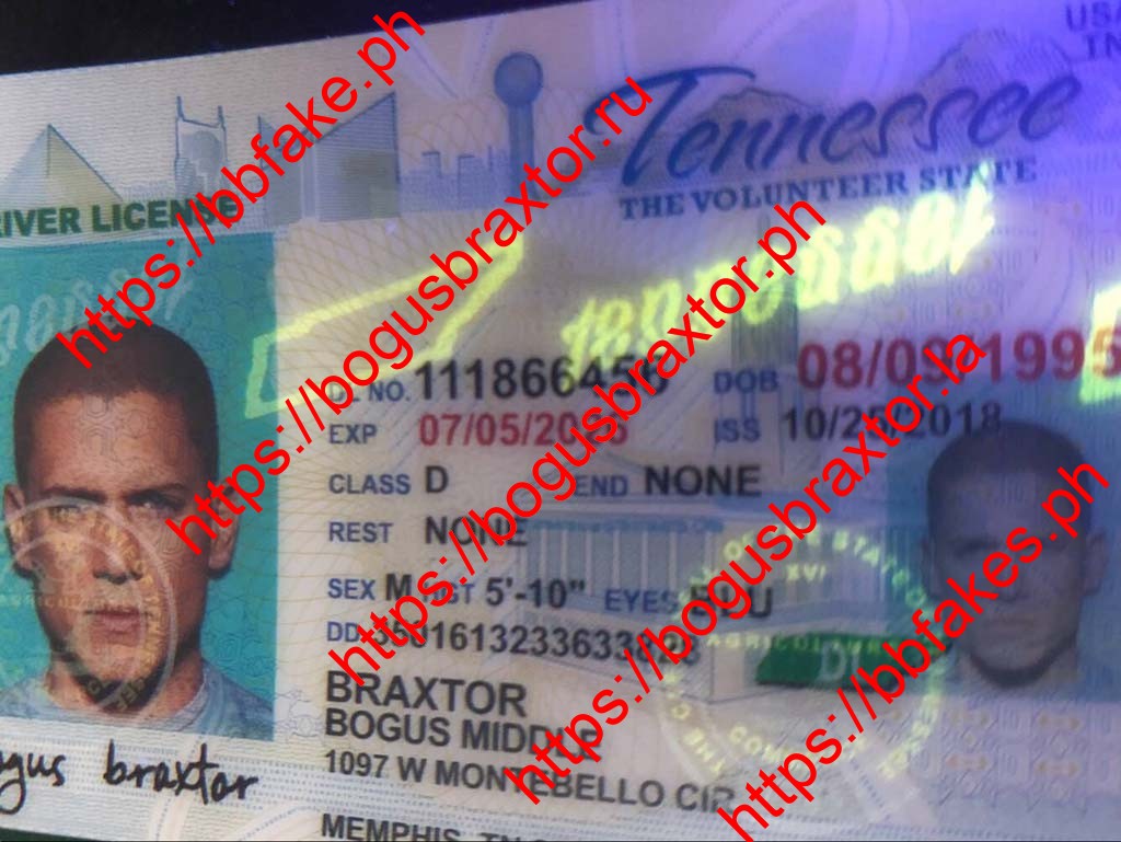 Tennessee Fake ID - Image 3