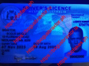 Western Australia Provisional Fake ID
