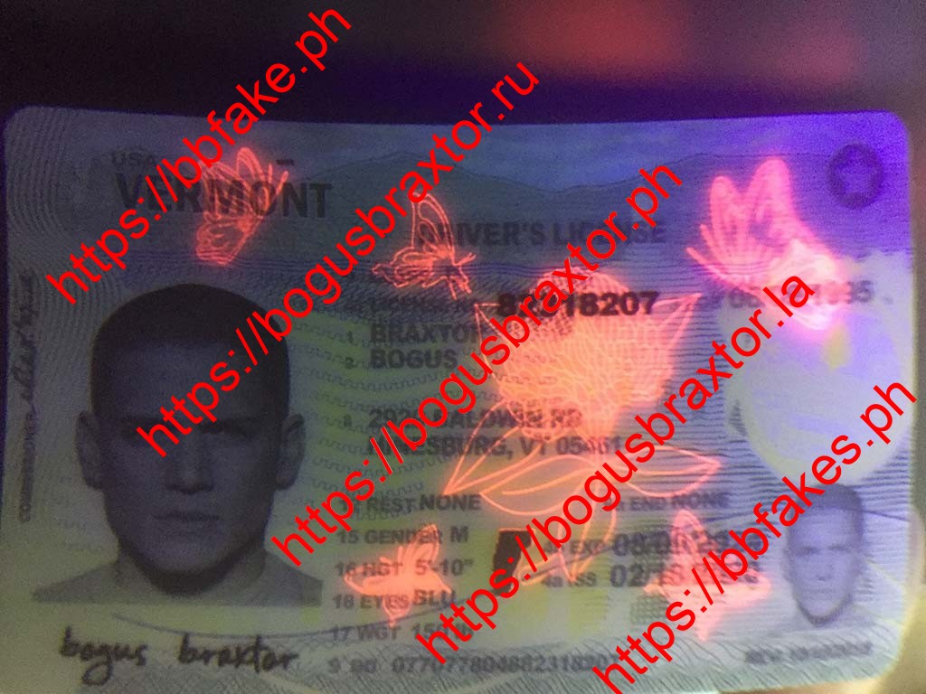Vermont Fake ID - Image 2