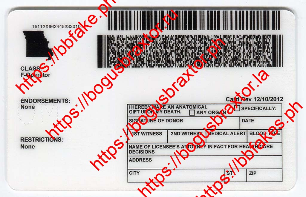 Missouri Vertical Fake ID - Image 2