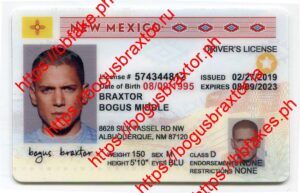 New Mexico Fake ID