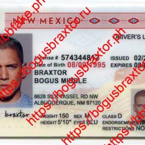 New Mexico Fake ID