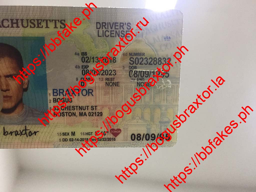 Massachusetts Fake ID - Image 2