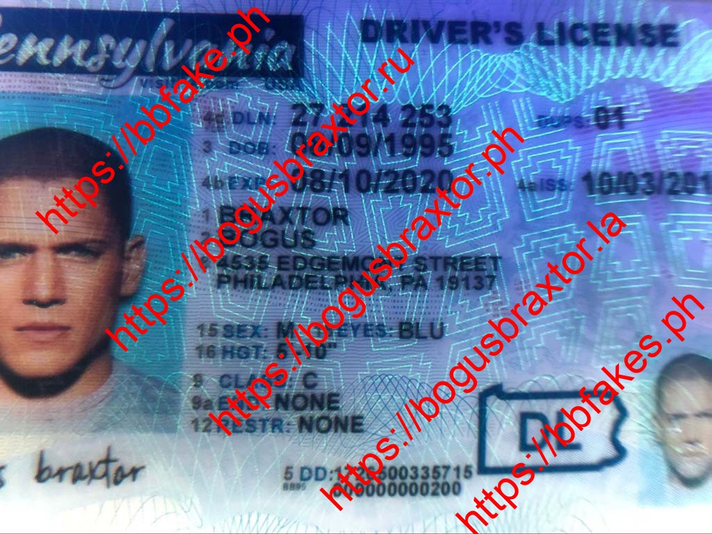 Pennsylvania Fake ID - Image 2