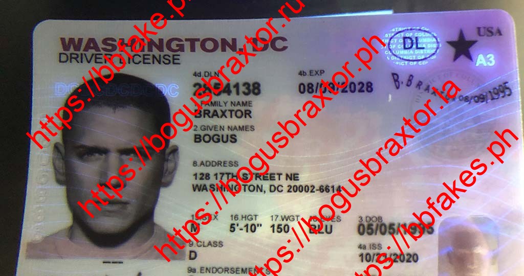 Washington DC Fake ID - Image 2