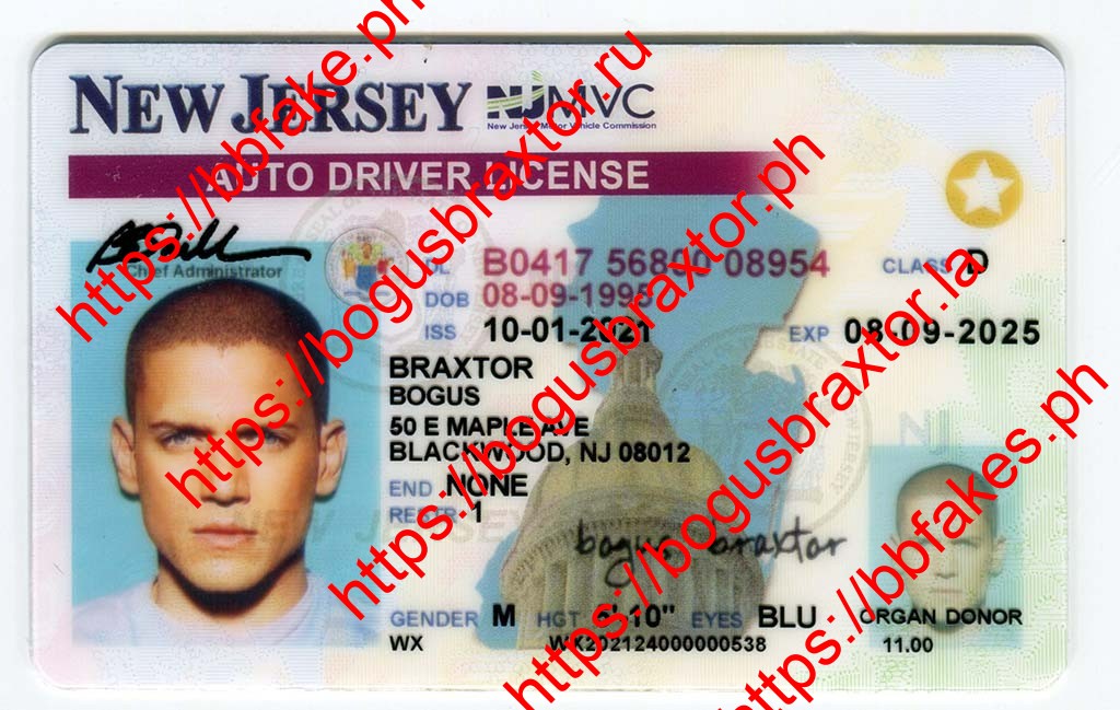 New Jersey Fake ID