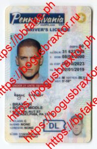Pennsylvania Vertical Fake ID