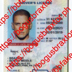 Pennsylvania Vertical Fake ID
