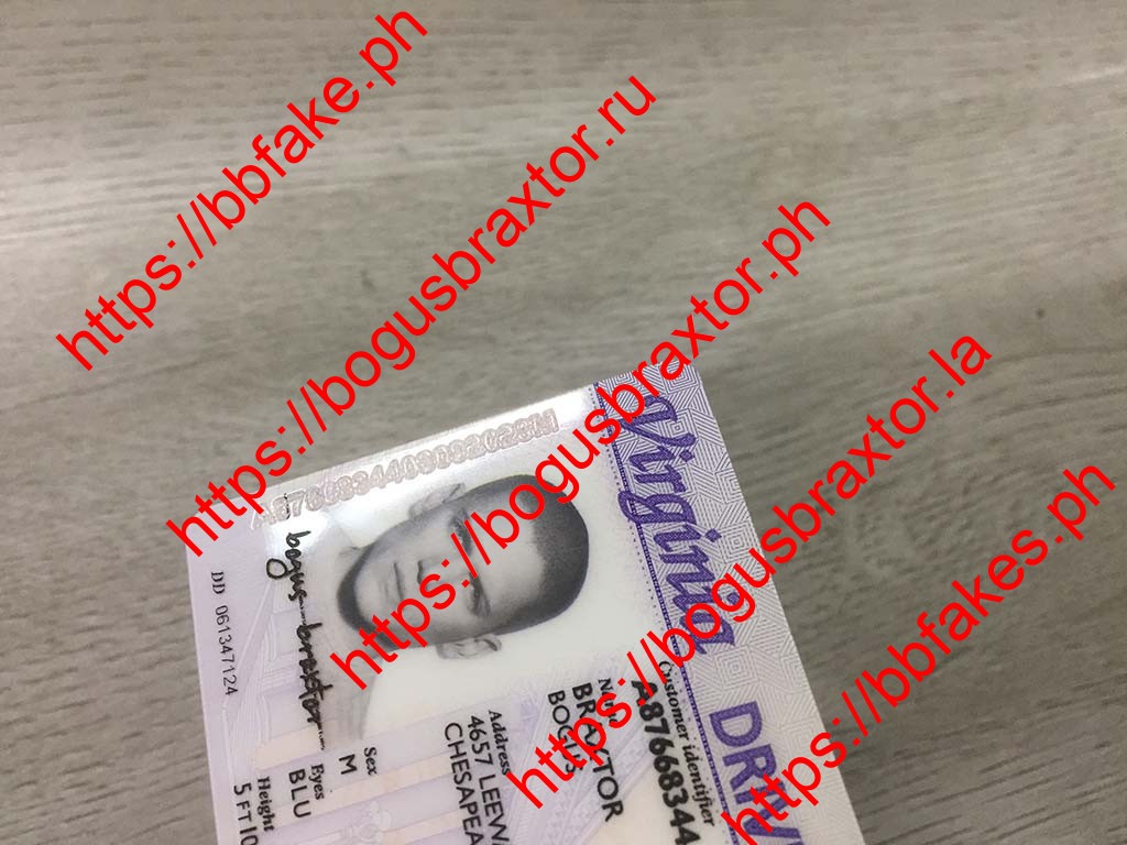 Virginia Fake ID - Image 2