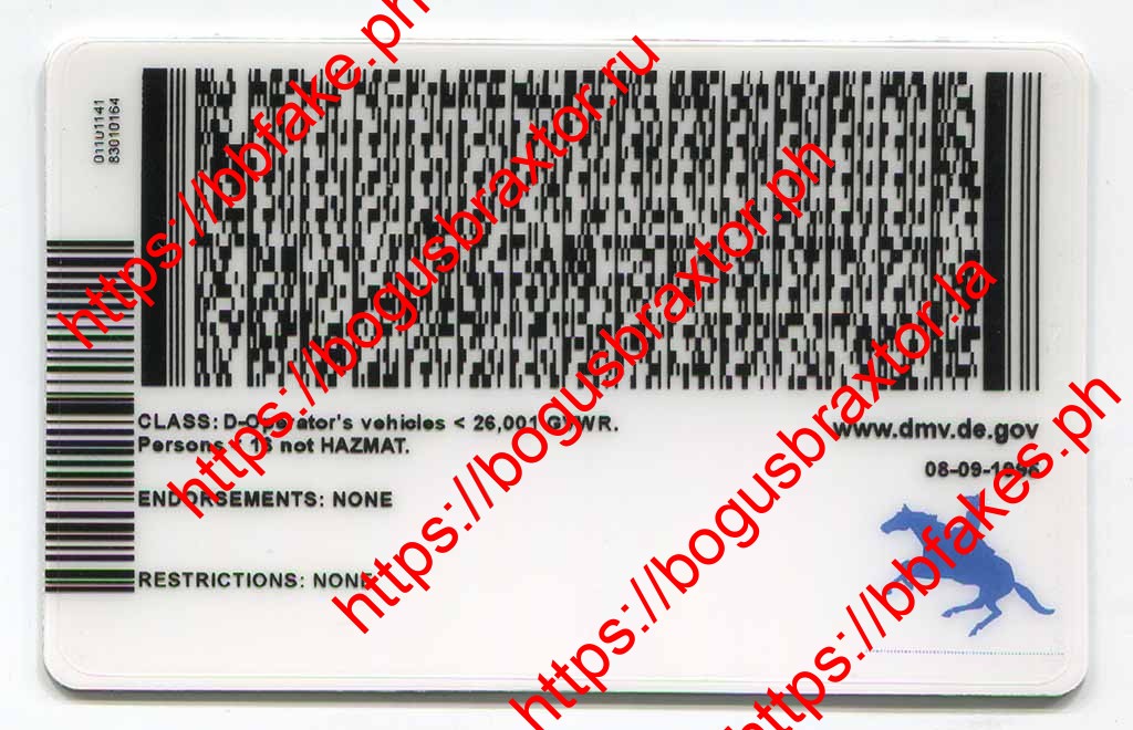 Delaware Fake IDs - Image 3